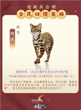 麻痹天龙八部私服